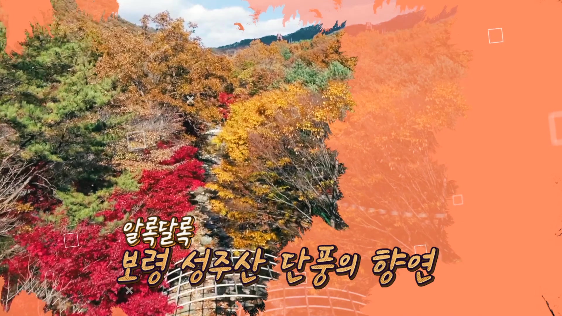 제18회 성주산 단풍축제 & 단풍길 걷기 대회